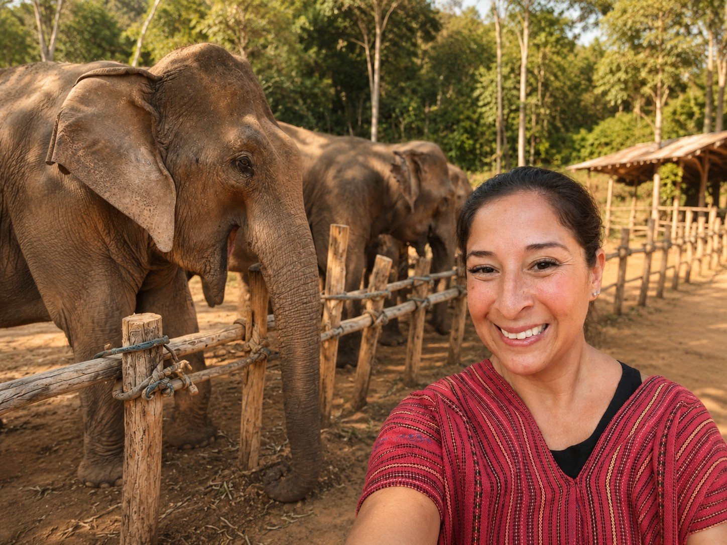 Michelle traveling with elephants